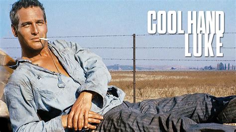 cool hand luke torrent|Watch Cool Hand Luke (1967) Full Movie Free Online .
